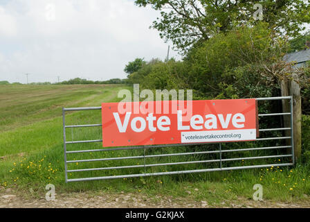 Brexit Abstimmung verlassen Zeichen Cornwall 2016 UK HOMER SYKES Stockfoto