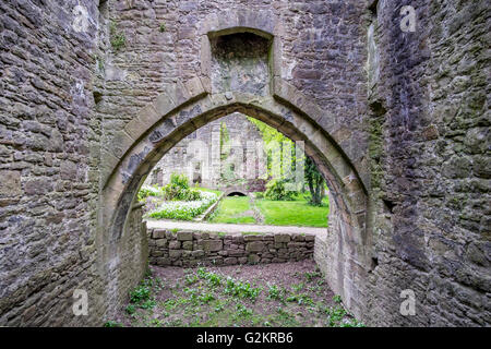 Die Ruinen von Whalley Abbey in Lancashire, Whalley Abbey ist eine ehemalige Zisterzienserabtei Stockfoto