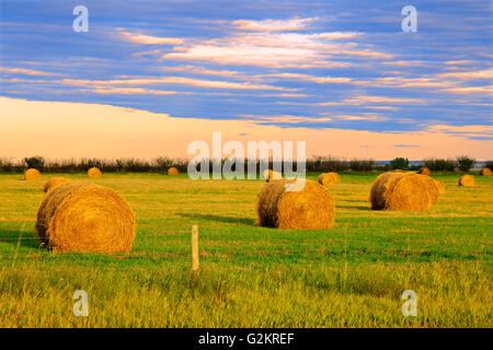 Ballen Parkbeg Saskatchewan Kanada Stockfoto