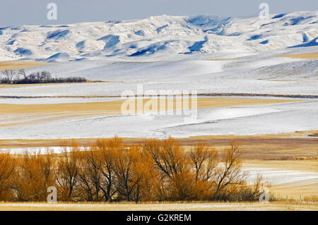 WInter auf der Prärie und Badlands in der Nähe von Big Muddy Badlands Saskatchewan in Kanada Stockfoto