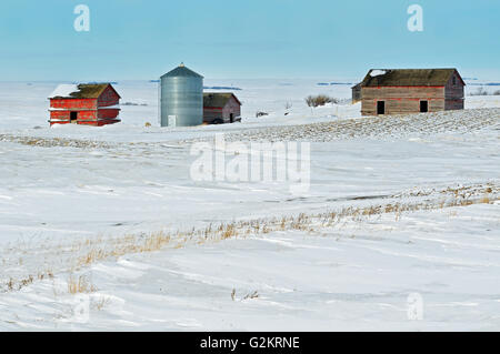 Altes Bauernhaus im Winter Vizekönig Saskatchewan Kanada Stockfoto