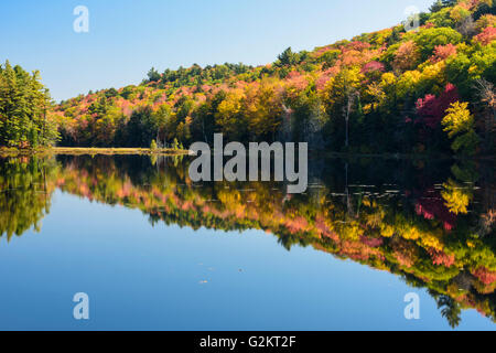 Kleine, sehr still See, Herbstfärbung Herbst morgens, Haliburton, Ontario, Kanada Stockfoto