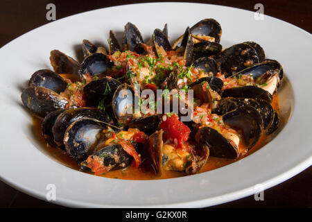 Schüssel mit gedämpfte Muscheln in roter Sauce Stockfoto