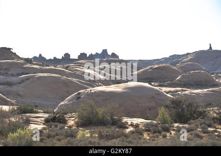 Blick auf die versteinerten Dünen im Arches National Park, Utah Stockfoto