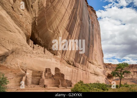 White House Ruinen in den Canyon de Chelly National Monument, Arizona, USA Stockfoto