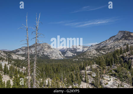 Blick vom Olmsted Point auf dem Tioga Pass im Yosemite National Park, USA Stockfoto