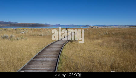 Wanderweg am Mono Lake in Kalifornien, USA Stockfoto