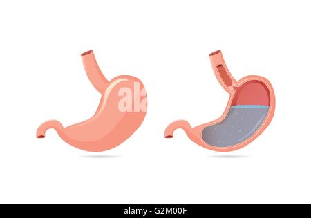 Außerhalb des Magens und innen Stock Vektor