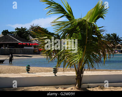 Schöne Sonne beleuchtet warmen karibischen Strand, goldenen Sand und dramatische Himmel, Decameron Hotel, Runaway Bay, mit Kokospalmen Stockfoto