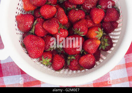 nassen Erdbeeren in Sieb Stockfoto