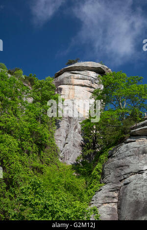 Chimney Rock, North Carolina - Chimney Rock State Park, eine Touristenattraktion mit einem 535 Millionen Jahre alten Felsen-Turm. Stockfoto