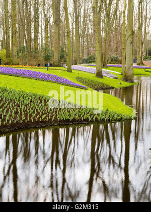 Die Besucher durch gehen und die vielen verschiedenen Blumen in Keukenhof Lisse, Niederlande. Stockfoto