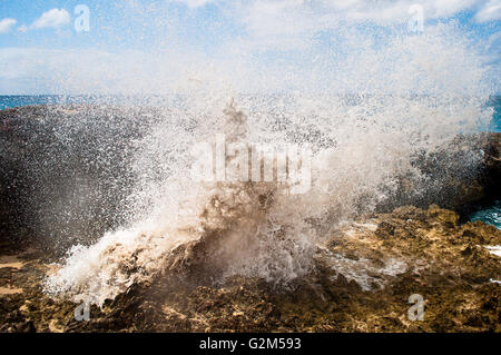 Eine Welle gegen die Felsen an einem schönen Tag in der Mullet Bay, St Maarten explodiert. Stockfoto