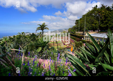 Jardim Botânico da Madeira Stockfoto