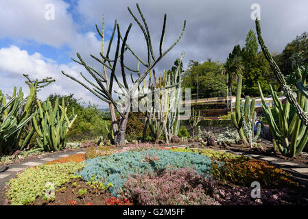 Jardim Botânico da Madeira Stockfoto