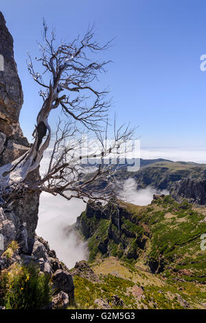 Pico do Arieiro Stockfoto