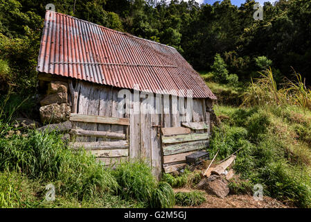 Baufälligen Schuppen Stockfoto