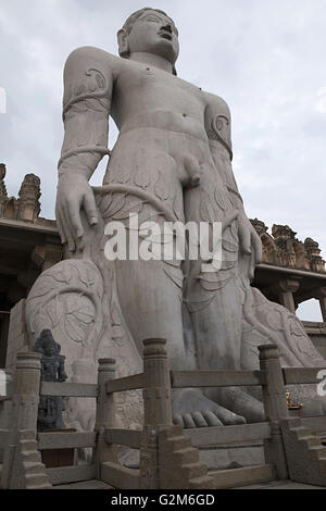 Gigiantic monolithische Statue Bahubali, auch bekannt als Gomateshwara, Vindhyagiri Hill, Shravanbelgola, Karnataka, Indien. Stockfoto