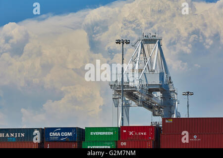 Shipping Containerkrane am Long Beach Containerterminal mit hoch aufragenden Cumulonimbus Wolken im Hintergrund. Stockfoto