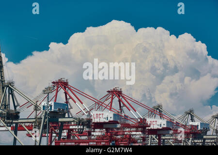 Shipping Containerkrane am Long Beach Containerterminal mit hoch aufragenden Cumulonimbus Wolken im Hintergrund. Stockfoto