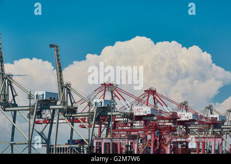 Shipping Containerkrane am Long Beach Containerterminal mit hoch aufragenden Cumulonimbus Wolken im Hintergrund. Stockfoto