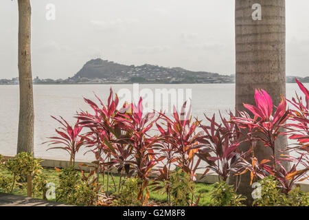 Fluss Guayas und Hill Blick von der Promenade von Puerto Santa Ana in Guayaquil, Ecuador Stockfoto