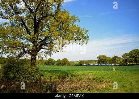 Besuch von Ex-GNR Klasse N2 Lokomotive No.1744 führt den Zug vom Ongar, vorbei an schönen Essex Landschaft. Stockfoto