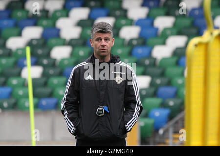 Belfast, 26. Mai 2016. Nordirland V Weißrussland (Trainingseinheit). Nordirland Trainer Stephen Robinson auf der Tagung in das nationale Fußballstadion im Windsor Park, Belfast. Stockfoto