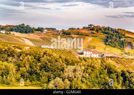 der entspannende Blick auf die Felder von Olivenbäumen und Pfirsichbäume die hügelige Landschaft der Emilia Romagna in Italien Stockfoto