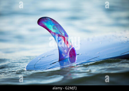 Nahaufnahme von Rainbow Fin Unternehmen einzelne fin(skeg) auf benutzerdefinierte Kanaiupuni Longboard in Wasser in der Abenddämmerung vor Waikiki Beach, Oahu, Hawaii Stockfoto