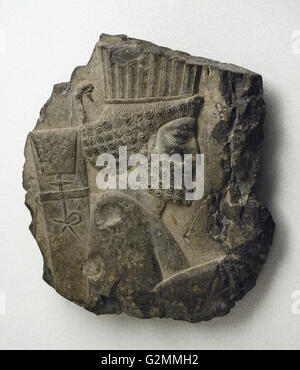 Achämeniden. Fragment eines Reliefs mit einem königlichen Leibwächter. Frühe 5. Jahrhundert V.Chr. Von Persepolis. Stockfoto