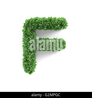 Grüne Blätter F Ökologie Buchstaben Alphabet Schrift auf weißem Hintergrund isoliert. 3D-Rendering Stockfoto