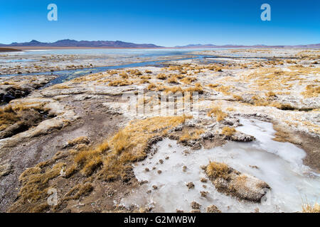 Ufer der Laguna Hedionda, mit Salz und Eis bedeckt, in Uyuni, Altiplano, Bolivien Stockfoto