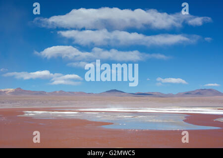 Laguna Colorada mit roten Wasser durch hohen Gehalt an Algen in Uyuni, Lipez, Bolivien Stockfoto