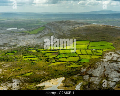 Luftaufnahme, Burren, grüne Weiden mit Kühen und Schafen, Naturschutzgebiet, Kalkstein, Kreide-Formation, Mullaghmore Burren County C Stockfoto