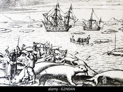 'S van barentz Voyages von Gerrit De 1598 der Walrus Hunt veer. Willem Barentsz (William Barents oder Barentz) (C. 1550 - 20. Juni 1597) Der niederländische Navigator, Kartograph und Arctic Explorer. Er ging auf drei Expeditionen in den Norden auf der Suche nach der Nordostpassage. Während seiner dritten Expedition, die Mannschaft war auf Nova Zembla für fast ein Jahr gestrandet. Barentsz starb auf der Rückreise im Jahre 1597. Im 19. Jahrhundert und der Barentssee wurde nach ihm benannt. Stockfoto