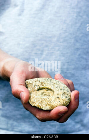 Mann, die fossilen Ammoniten in seiner Hand hält Stockfoto