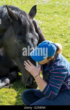 Eine Frau und ihr Pferd liegend in einer Sommerwiese. Die Frau zeigt Zuneigung zu ihrem verschlafenen Pferd. Stockfoto