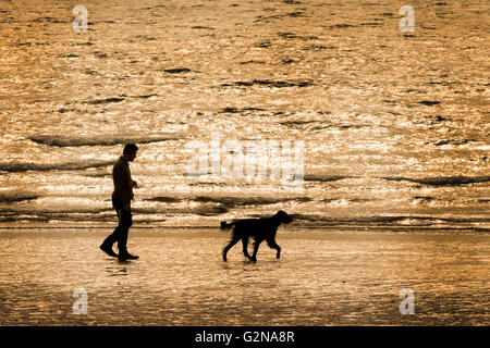 Mann geht mit seinem Hund am Strand bei Sonnenuntergang, Prestwick, Ayrshire, Schottland Stockfoto