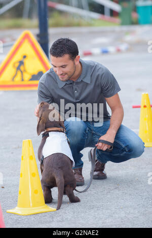 Hundetrainer Stockfoto