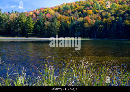 Herbstfarben am See Elligo in Orleans County, Vermont, USA. Stockfoto