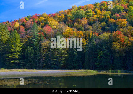 Herbstfarben am See Elligo in Orleans County, Vermont, USA. Stockfoto