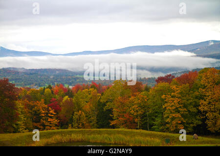 Herbstlaub an einem nebligen Morgen in der Nähe von Stowe, Vermont, USA. Stockfoto