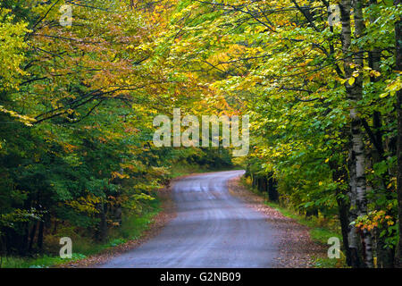 Herbstlaub auf einem ländlichen Rennstreckenareal in der Nähe von Stowe, Vermont, USA. Stockfoto