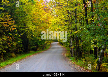 Herbstlaub auf einem ländlichen Rennstreckenareal in der Nähe von Stowe, Vermont, USA. Stockfoto