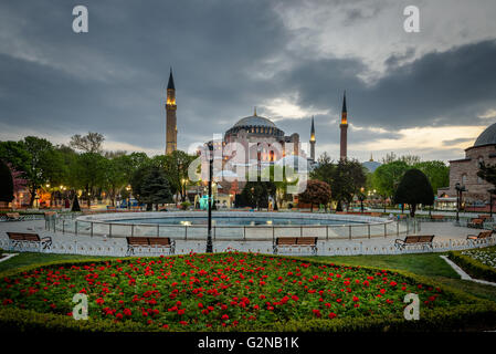 Hagia Sophia sieht man hinter Tulpen und Brunnen am Sultanahmet-Platz in Istanbul, Türkei Stockfoto