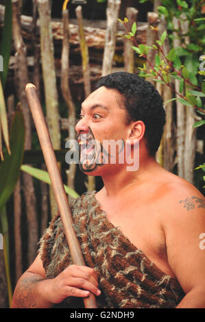Tamaki Maori Kulturdorf in Neuseeland Stockfoto