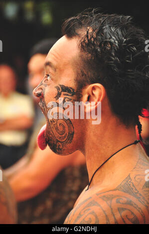 Tamaki Maori Kulturdorf in Neuseeland Stockfoto