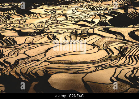 Duoyishu Reisterrassen bei Sonnenaufgang in Yuanyang, China Stockfoto