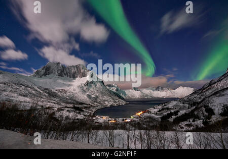 Aurora Borealis oder das Nordlicht über verschneite Winterlandschaft im Fjord von Mefjorden, Senja, Troms, Norwegen, Europa Stockfoto
